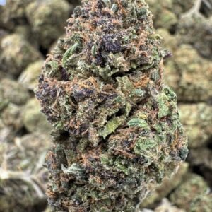 Lemon Cookie Dough – Bulk CBD Flower (Sungrown Pounds)