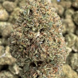 Lemon Octane – Bulk CBD Flower (Sungrown Pounds)