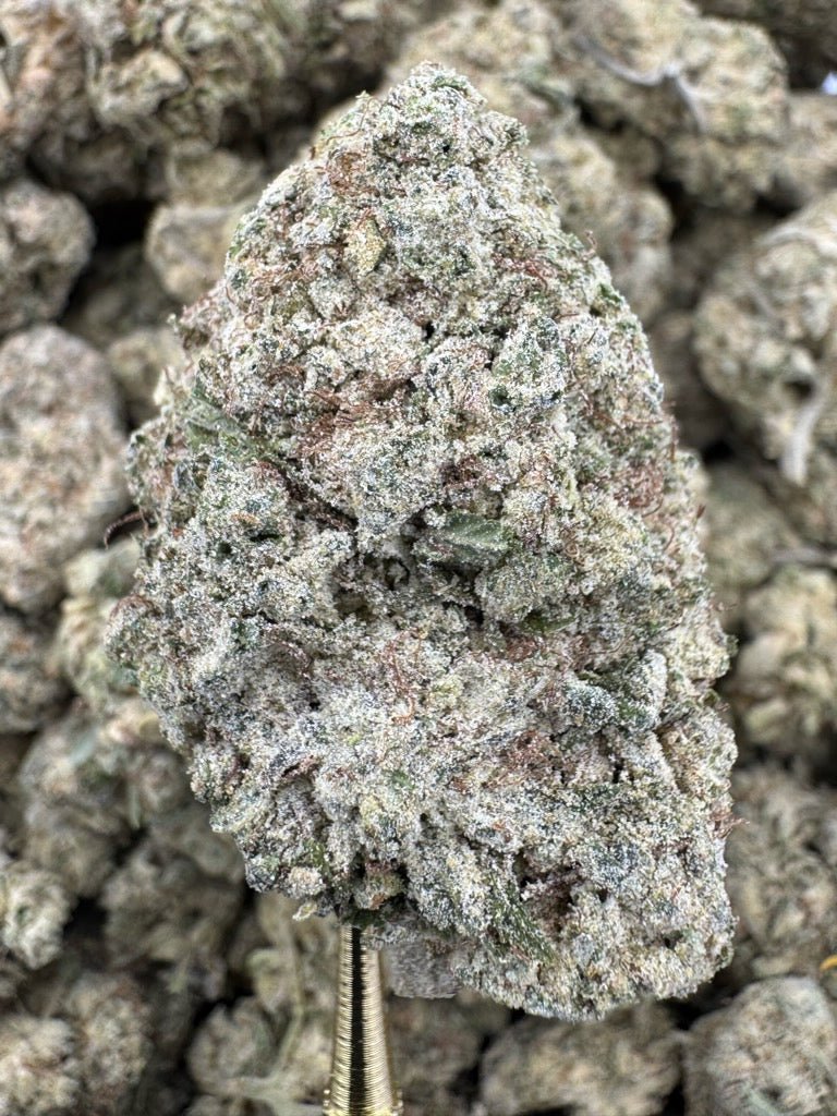 Mint Chocolate Chip – Bulk THCP Flower (Greenhouse Pounds)