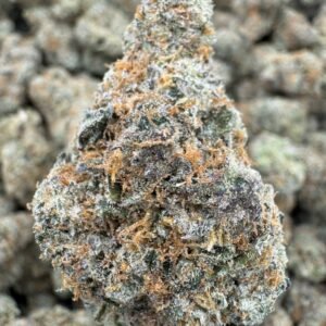 Mule Fuel – Bulk THCA Flower (Indoor Pounds)