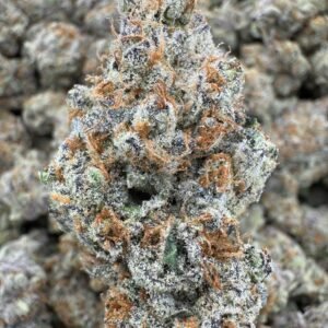 Sheesh – Bulk THCA Flower (Indoor Pounds)