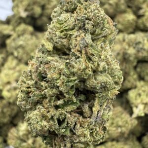 Sherblato – Bulk THCA Flower (Greenhouse Pounds)