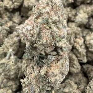 Super Lemon Haze – Bulk THCP Flower (Greenhouse Pounds)