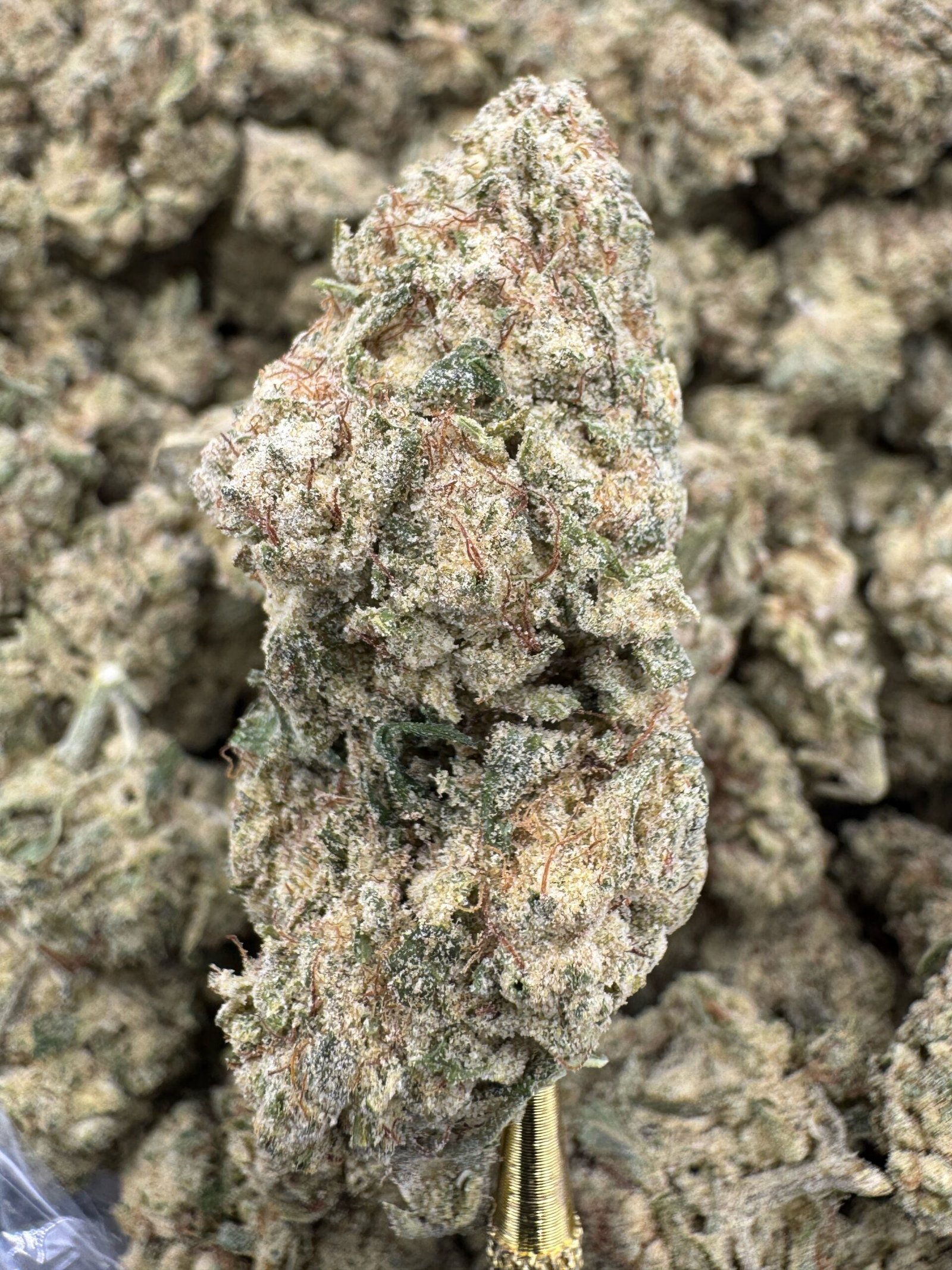 Super Lemon Haze – Bulk THCP Flower (Greenhouse Pounds)