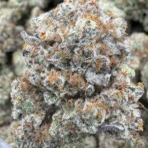 Super White Truffle – Bulk THCA Flower (Indoor Pounds)